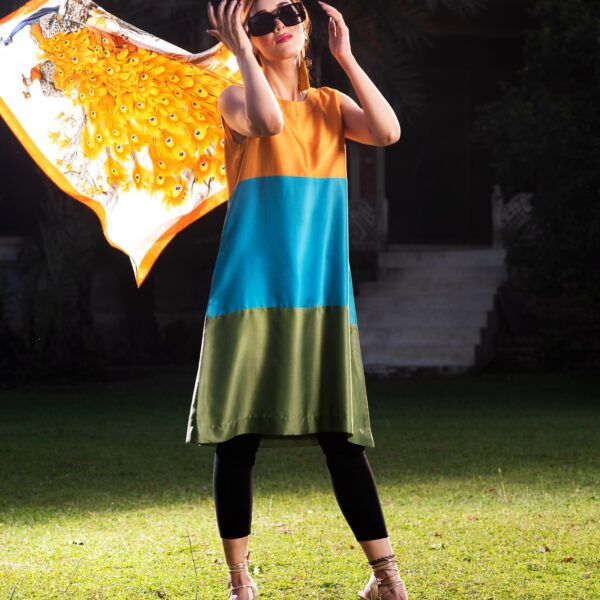 The Humming Bird Dress